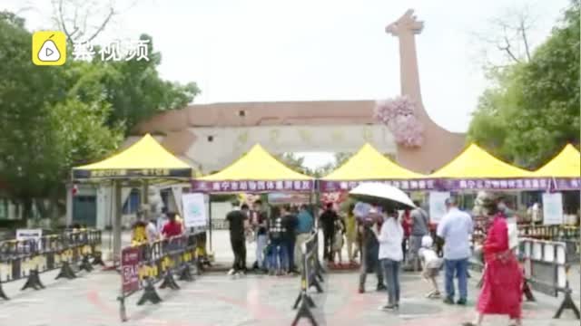 景区要求护士出示原件才免费：有不法份子伪造证明