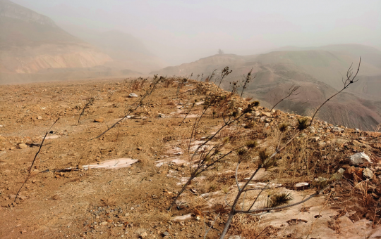 被免职责任人2个月后获提拔，个别地方环保整改“纸面销号”