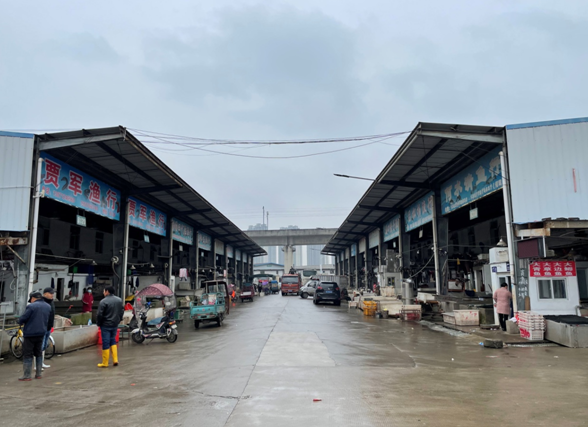 武汉最初病例可能是从海外传入？专家：目前还缺乏很多证据